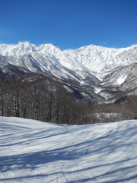 Villa Komakusa Хакуба Стая снимка